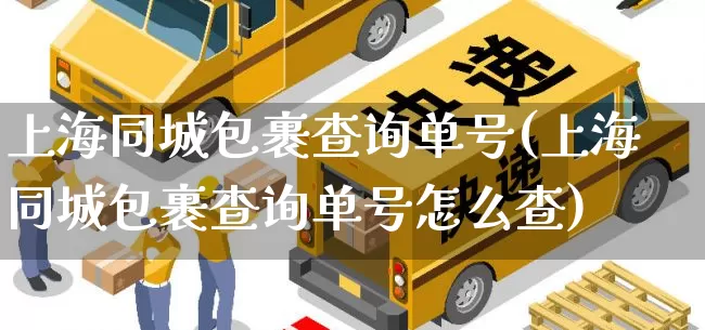 上海同城包裹查询单号(上海同城包裹查询单号怎么查)_https://www.senxinmaoyi.com_物流单号_第1张