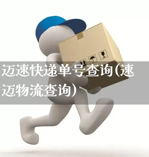迈速快递单号查询(速迈物流查询)_https://www.senxinmaoyi.com_物流单号_第1张