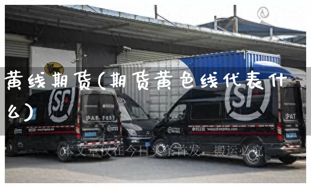 黄线期货(期货黄色线代表什么)_https://www.senxinmaoyi.com_邮政编码_第1张