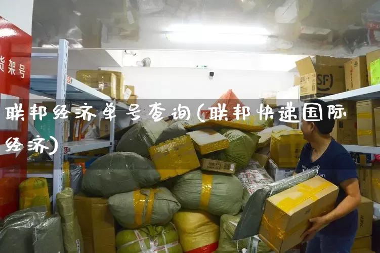 联邦经济单号查询(联邦快递国际经济)_https://www.senxinmaoyi.com_快递查询_第1张