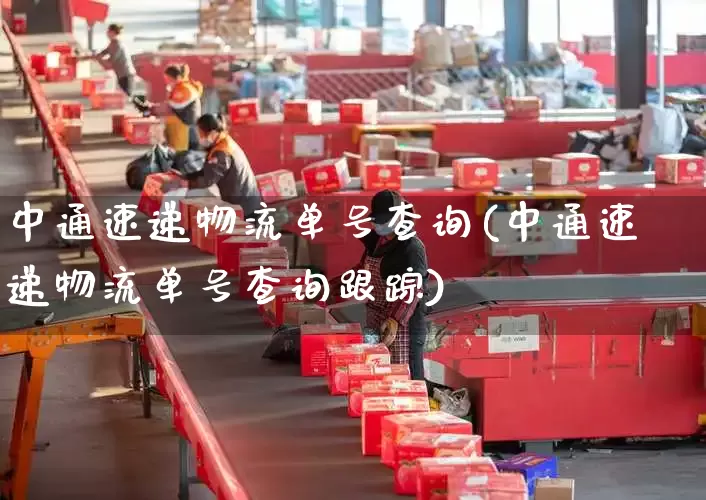中通速递物流单号查询(中通速递物流单号查询跟踪)_https://www.senxinmaoyi.com_快递查询_第1张