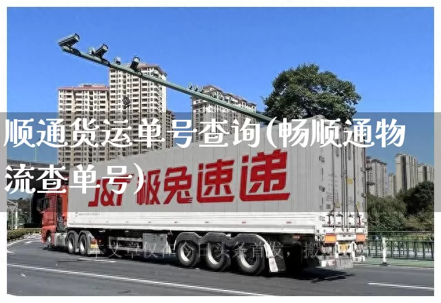 顺通货运单号查询(畅顺通物流查单号)_https://www.senxinmaoyi.com_邮政编码_第1张