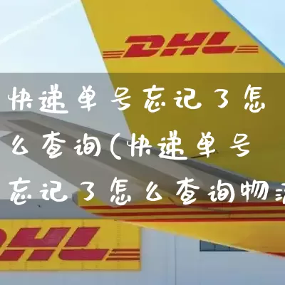 快递单号忘记了怎么查询(快递单号忘记了怎么查询物流退货)_https://www.senxinmaoyi.com_物流查询_第1张