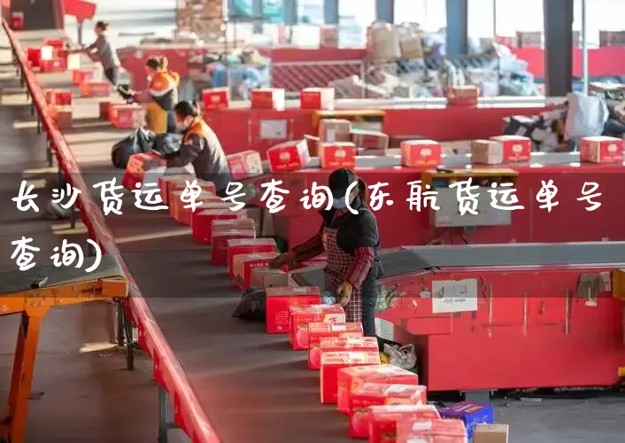 长沙货运单号查询(东航货运单号查询)_https://www.senxinmaoyi.com_邮政编码_第1张