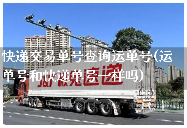 快递交易单号查询运单号(运单号和快递单号一样吗)_https://www.senxinmaoyi.com_快递查询_第1张