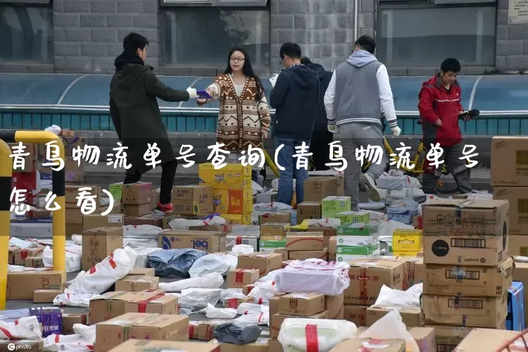 青鸟物流单号查询(青鸟物流单号怎么看)_https://www.senxinmaoyi.com_物流单号_第1张