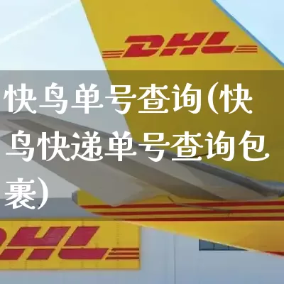 快鸟单号查询(快鸟快递单号查询包裹)_https://www.senxinmaoyi.com_物流查询_第1张