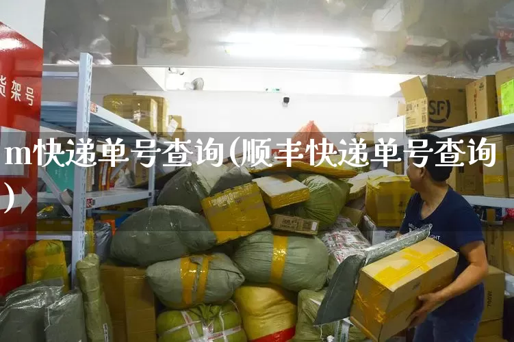 m快递单号查询(顺丰快递单号查询)_https://www.senxinmaoyi.com_物流查询_第1张