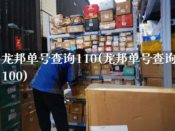 龙邦单号查询110(龙邦单号查询100)_https://www.senxinmaoyi.com_邮政编码_第1张
