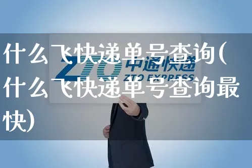 什么飞快递单号查询(什么飞快递单号查询最快)_https://www.senxinmaoyi.com_物流单号_第1张