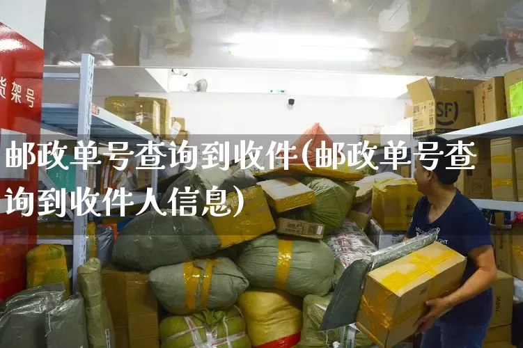 邮政单号查询到收件(邮政单号查询到收件人信息)_https://www.senxinmaoyi.com_物流单号_第1张