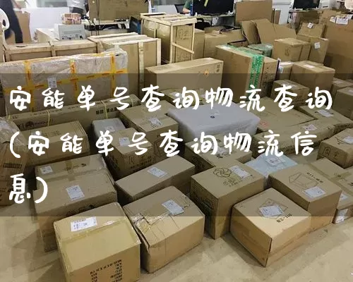 安能单号查询物流查询(安能单号查询物流信息)_https://www.senxinmaoyi.com_快递查询_第1张