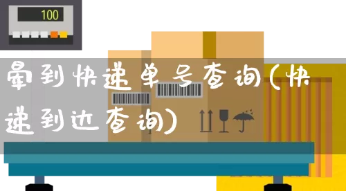 晕到快递单号查询(快递到达查询)_https://www.senxinmaoyi.com_邮政编码_第1张