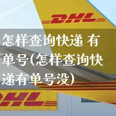 怎样查询快递 有单号(怎样查询快递有单号没)_https://www.senxinmaoyi.com_邮政编码_第1张