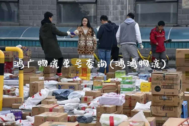 鸿广物流单号查询(鸿鸿物流)_https://www.senxinmaoyi.com_邮政编码_第1张
