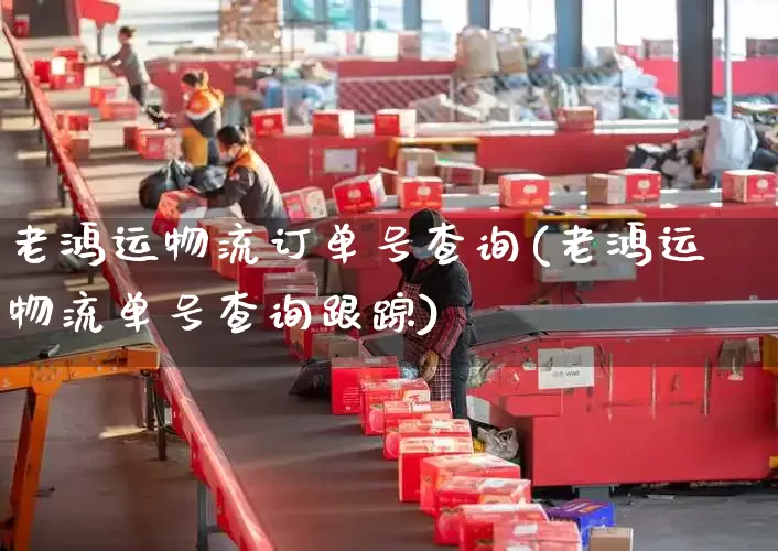 老鸿运物流订单号查询(老鸿运物流单号查询跟踪)_https://www.senxinmaoyi.com_快递查询_第1张