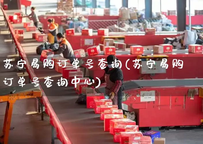 苏宁易购订单号查询(苏宁易购订单号查询中心)_https://www.senxinmaoyi.com_快递查询_第1张