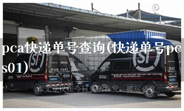 pca快递单号查询(快递单号pcs01)_https://www.senxinmaoyi.com_邮政编码_第1张