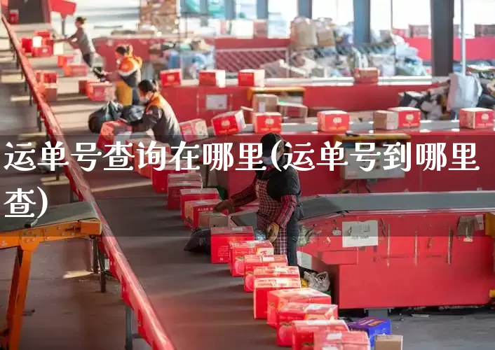 运单号查询在哪里(运单号到哪里查)_https://www.senxinmaoyi.com_邮政编码_第1张