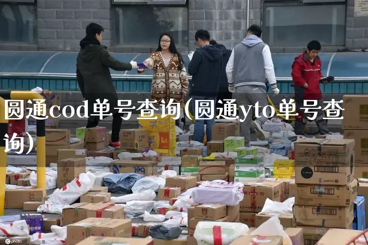 圆通cod单号查询(圆通yto单号查询)_https://www.senxinmaoyi.com_快递查询_第1张