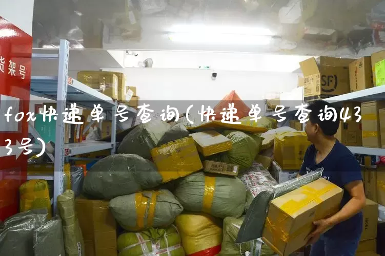 fox快递单号查询(快递单号查询433号)_https://www.senxinmaoyi.com_快递查询_第1张