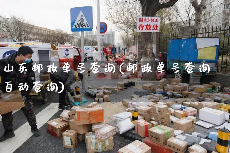 山东邮政单号查询(邮政单号查询自动查询)_https://www.senxinmaoyi.com_物流单号_第1张
