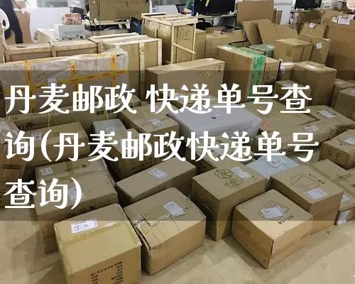 丹麦邮政 快递单号查询(丹麦邮政快递单号查询)_https://www.senxinmaoyi.com_物流单号_第1张
