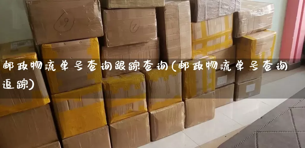 邮政物流单号查询跟踪查询(邮政物流单号查询追踪)_https://www.senxinmaoyi.com_物流查询_第1张