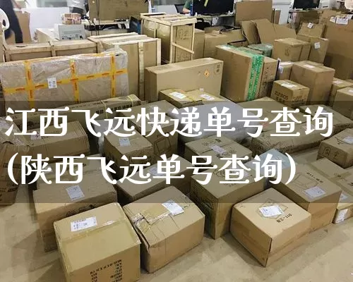 江西飞远快递单号查询(陕西飞远单号查询)_https://www.senxinmaoyi.com_物流单号_第1张