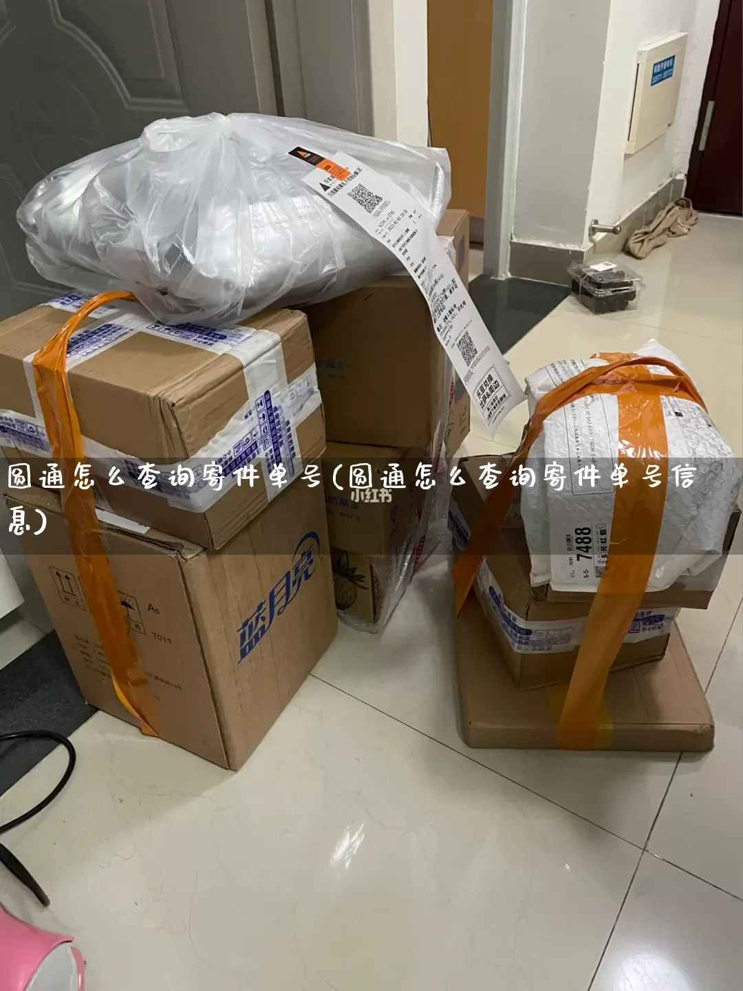 圆通怎么查询寄件单号(圆通怎么查询寄件单号信息)_https://www.senxinmaoyi.com_物流单号_第1张