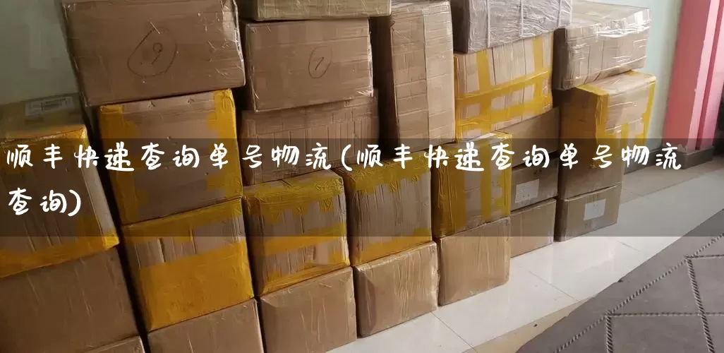 顺丰快递查询单号物流(顺丰快递查询单号物流查询)_https://www.senxinmaoyi.com_邮政编码_第1张