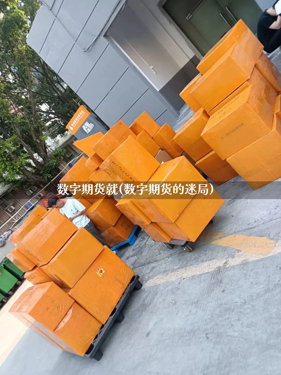数字期货就(数字期货的迷局)_https://www.senxinmaoyi.com_物流单号_第1张