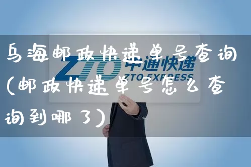 乌海邮政快递单号查询(邮政快递单号怎么查询到哪了)_https://www.senxinmaoyi.com_物流单号_第1张