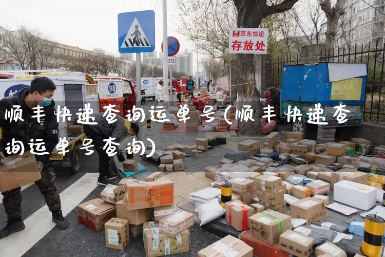 顺丰快递查询运单号(顺丰快递查询运单号查询)_https://www.senxinmaoyi.com_物流单号_第1张