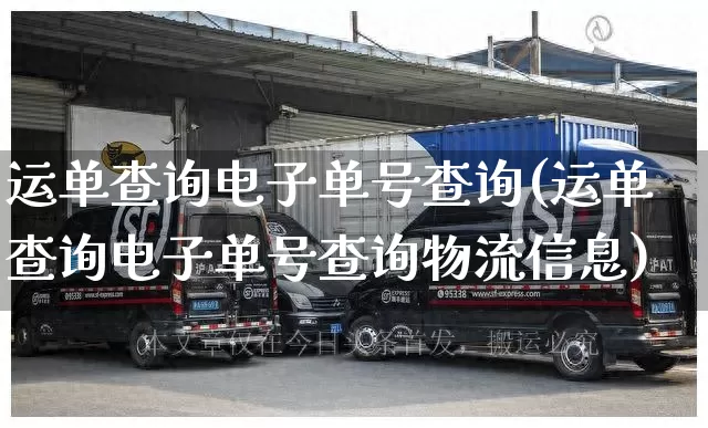 运单查询电子单号查询(运单查询电子单号查询物流信息)_https://www.senxinmaoyi.com_快递查询_第1张