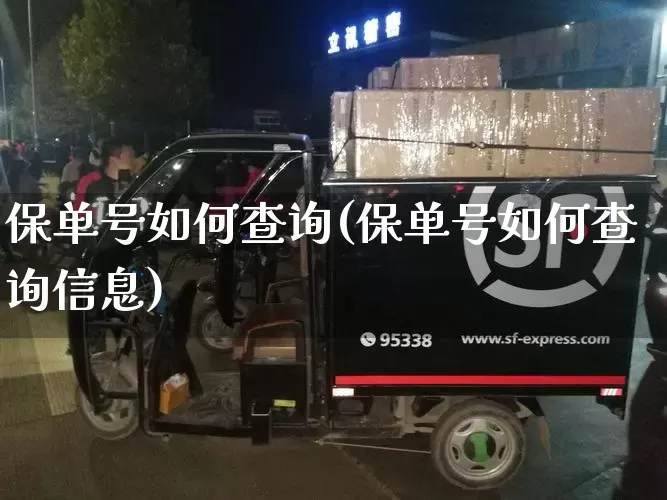 保单号如何查询(保单号如何查询信息)_https://www.senxinmaoyi.com_物流查询_第1张