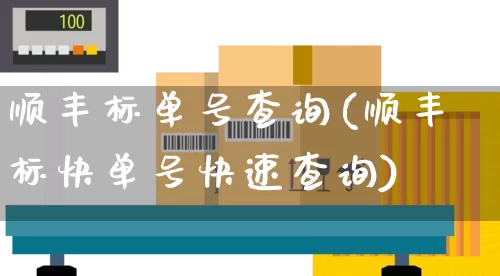 顺丰标单号查询(顺丰标快单号快速查询)_https://www.senxinmaoyi.com_物流单号_第1张
