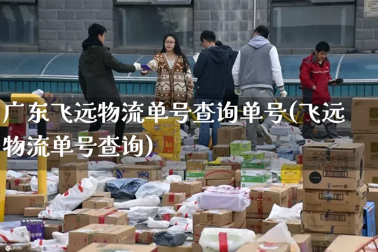 广东飞远物流单号查询单号(飞远物流单号查询)_https://www.senxinmaoyi.com_快递查询_第1张