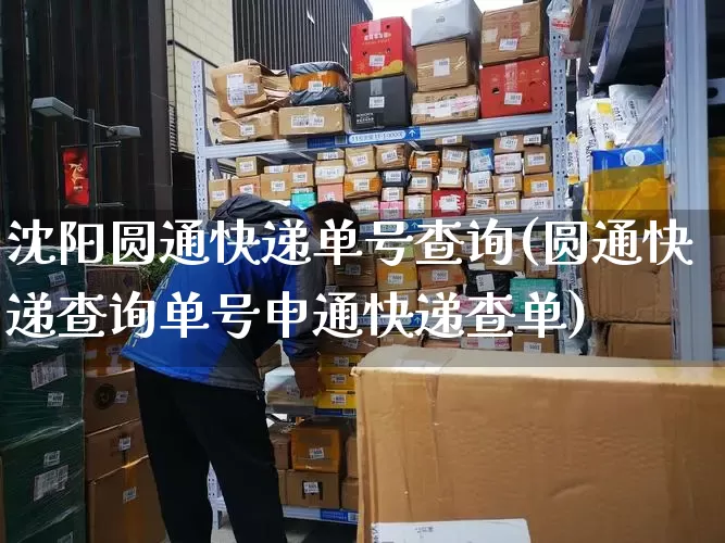 沈阳圆通快递单号查询(圆通快递查询单号申通快递查单)_https://www.senxinmaoyi.com_物流单号_第1张
