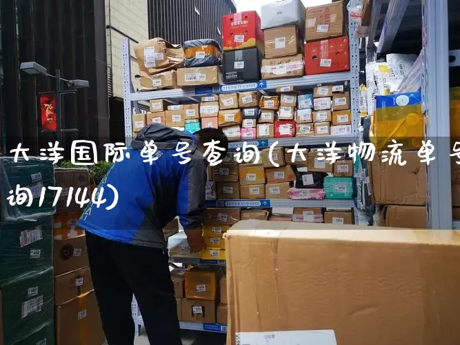 大洋国际单号查询(大洋物流单号查询17144)_https://www.senxinmaoyi.com_快递查询_第1张