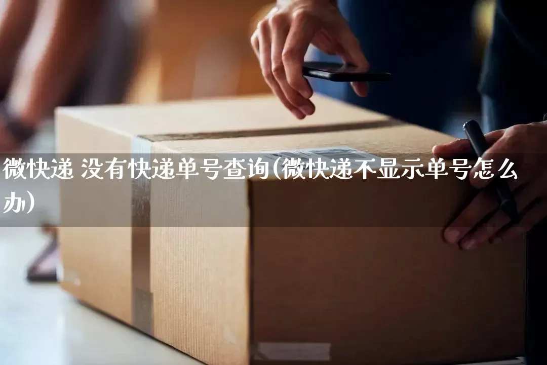 微快递 没有快递单号查询(微快递不显示单号怎么办)_https://www.senxinmaoyi.com_物流单号_第1张
