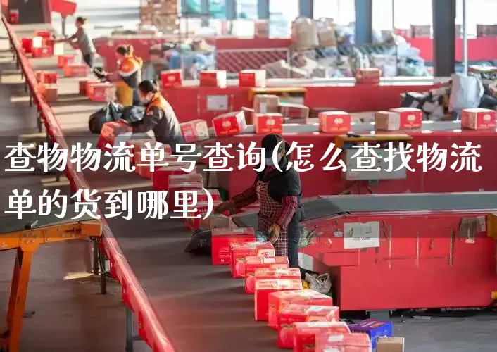 查物物流单号查询(怎么查找物流单的货到哪里)_https://www.senxinmaoyi.com_快递查询_第1张