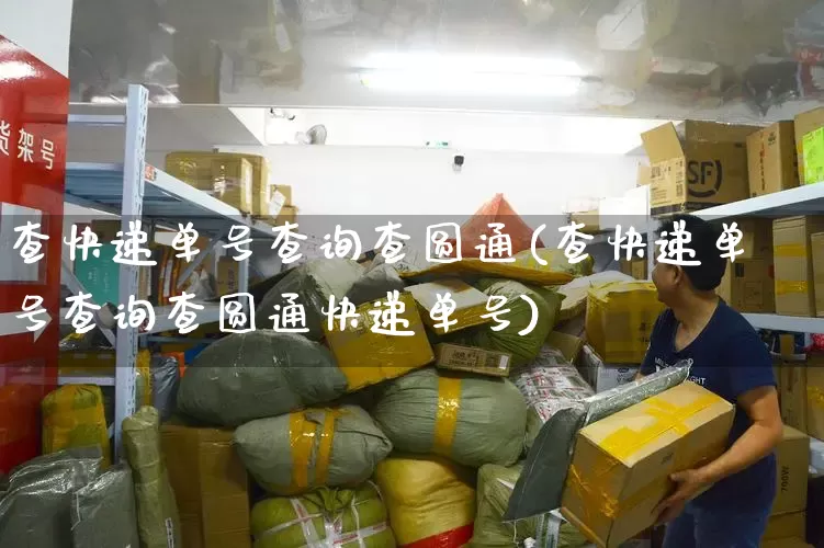查快递单号查询查圆通(查快递单号查询查圆通快递单号)_https://www.senxinmaoyi.com_快递查询_第1张