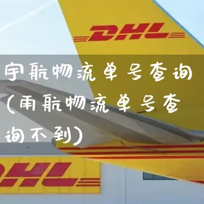 宇航物流单号查询(雨航物流单号查询不到)_https://www.senxinmaoyi.com_邮政编码_第1张