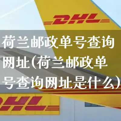 荷兰邮政单号查询网址(荷兰邮政单号查询网址是什么)_https://www.senxinmaoyi.com_邮政编码_第1张