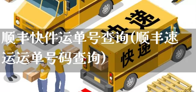 顺丰快件运单号查询(顺丰速运运单号码查询)_https://www.senxinmaoyi.com_物流查询_第1张