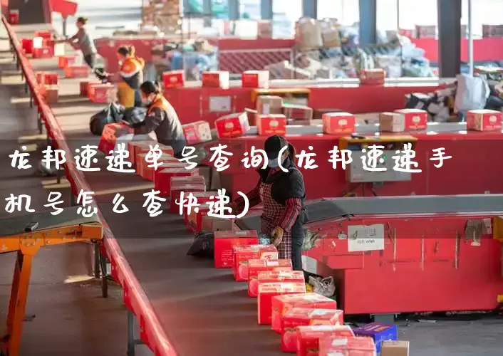龙邦速递单号查询(龙邦速递手机号怎么查快递)_https://www.senxinmaoyi.com_快递查询_第1张