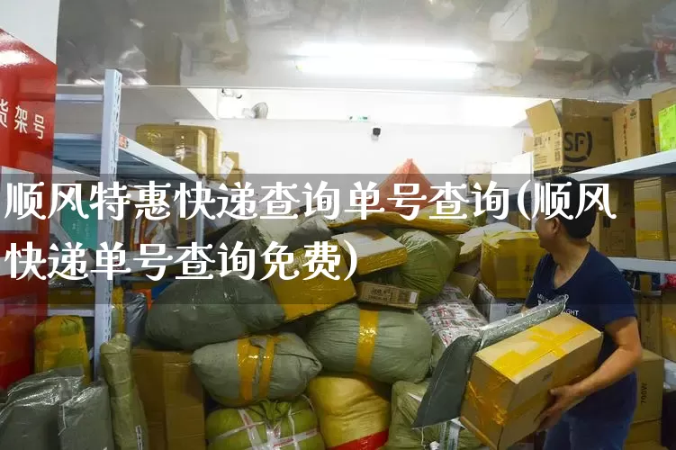 顺风特惠快递查询单号查询(顺风快递单号查询免费)_https://www.senxinmaoyi.com_物流单号_第1张