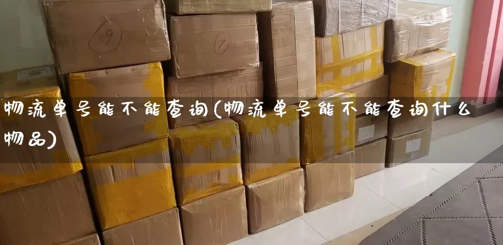 物流单号能不能查询(物流单号能不能查询什么物品)_https://www.senxinmaoyi.com_邮政编码_第1张