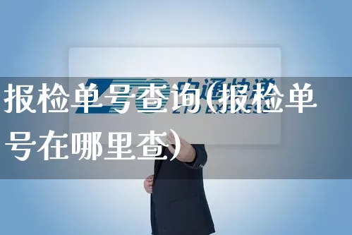 报检单号查询(报检单号在哪里查)_https://www.senxinmaoyi.com_邮政编码_第1张